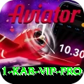 111 Kab - VIP Pro