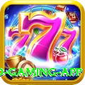 Pakiwin Gold Gaming App
